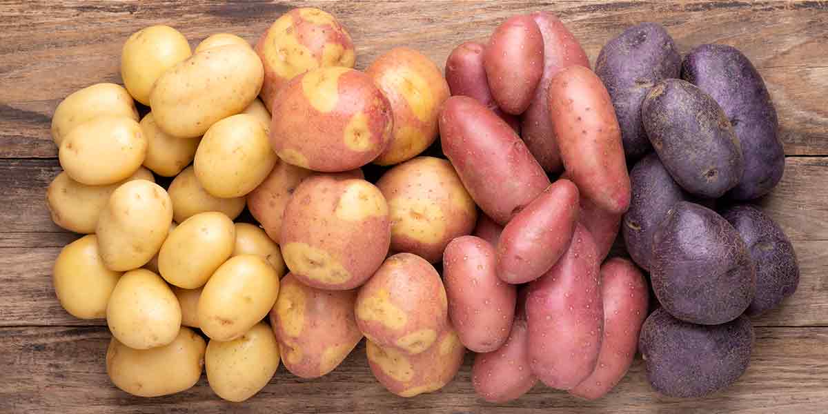 Russets vs. Red vs. Yukon Gold Potatoes: What's the Difference?