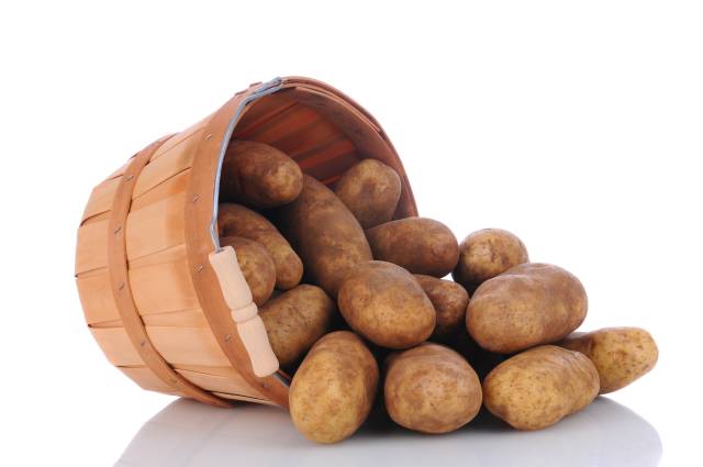 Russet Burbank Potatoes.