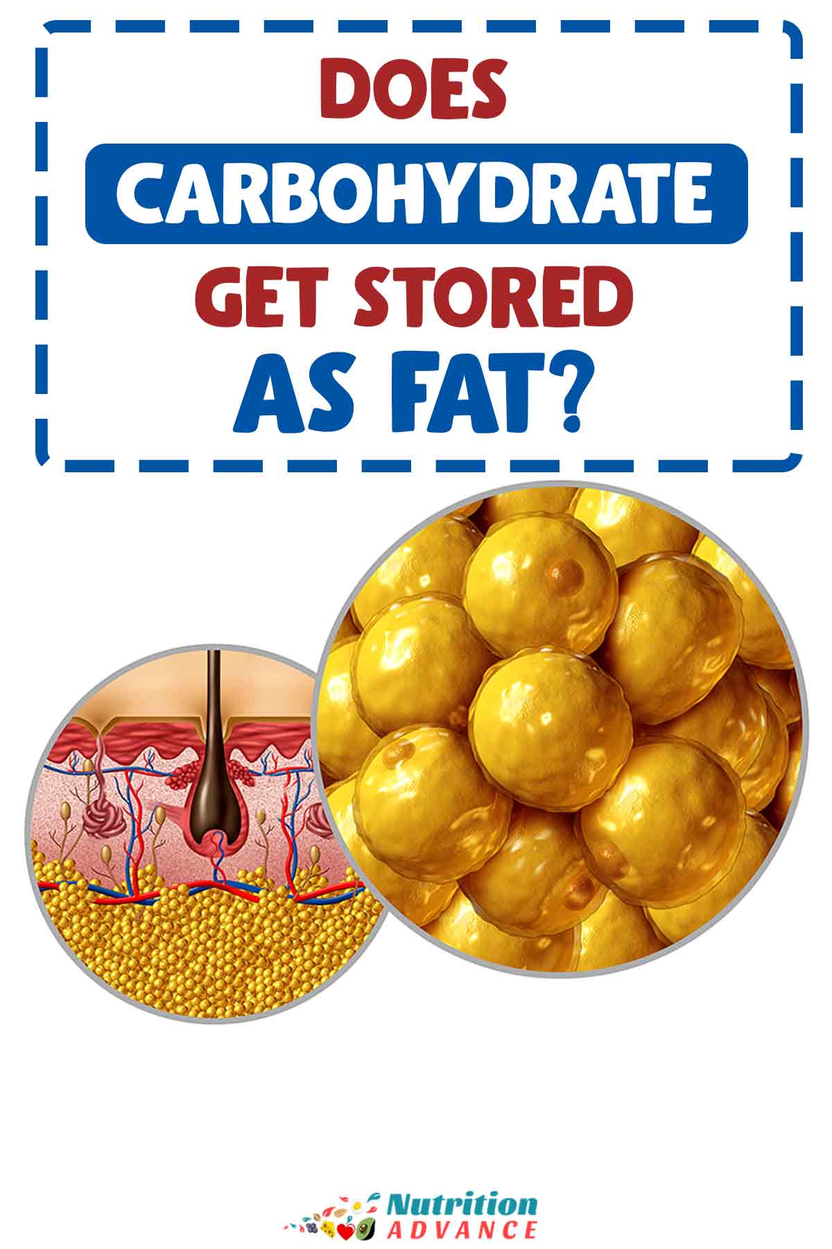 Does Carbohydrate Get Stored As Fat Nutrition Advance