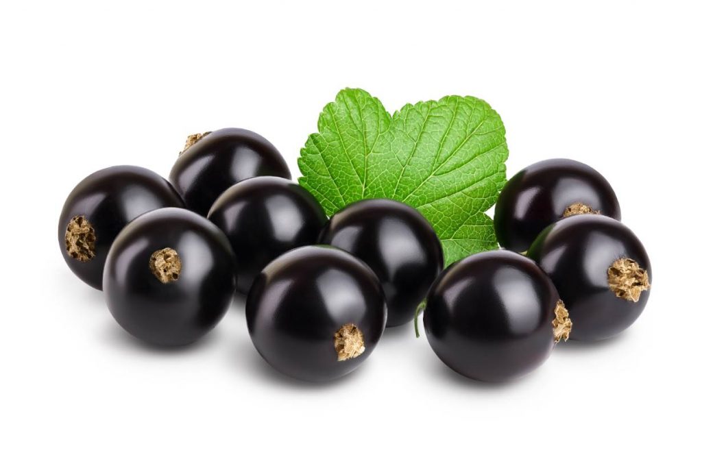 5 Benefits of Black Currants (and Full Nutrition Facts) Nutrition Advance