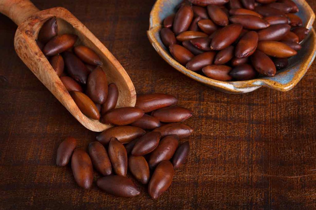 A Pile of Baru Nuts On a Wooden Table.