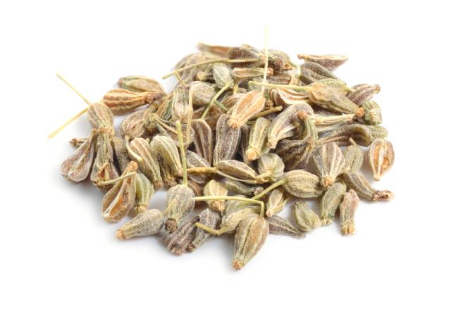 Anise Seeds (Pimpinella Anisum)