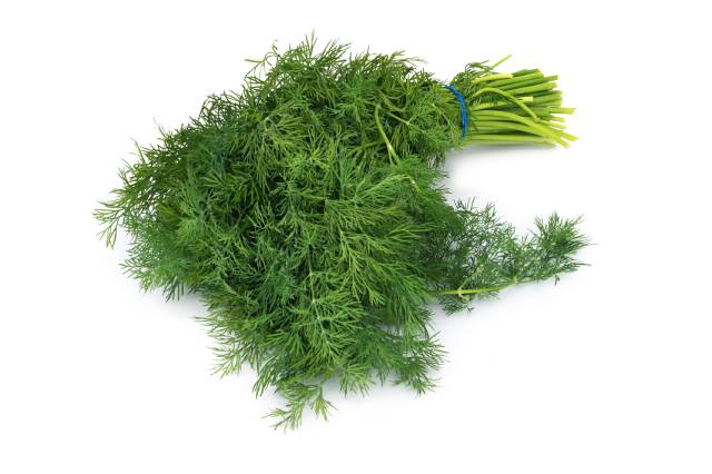 Dill Herb Leaves.