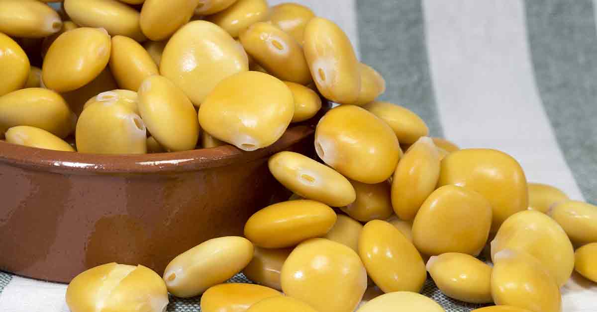 Lupin Beans Nutrition Facts, Benefits, and Drawbacks Nutrition Advance