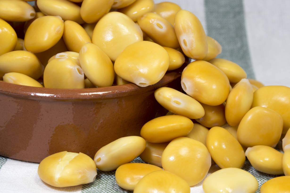 Lupin Beans In a Brown Bowl.