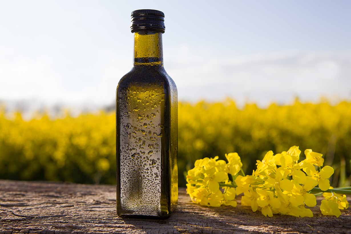 A Bottle of Canola Oil Next To Rapeseed Field.