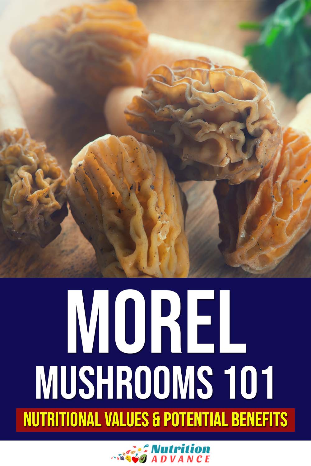 Morel Mushrooms Nutrition Facts Potential Benefits Nutrition Advance Morel Mushrooms Nutrition Facts Potential Benefits Nutrition Advance