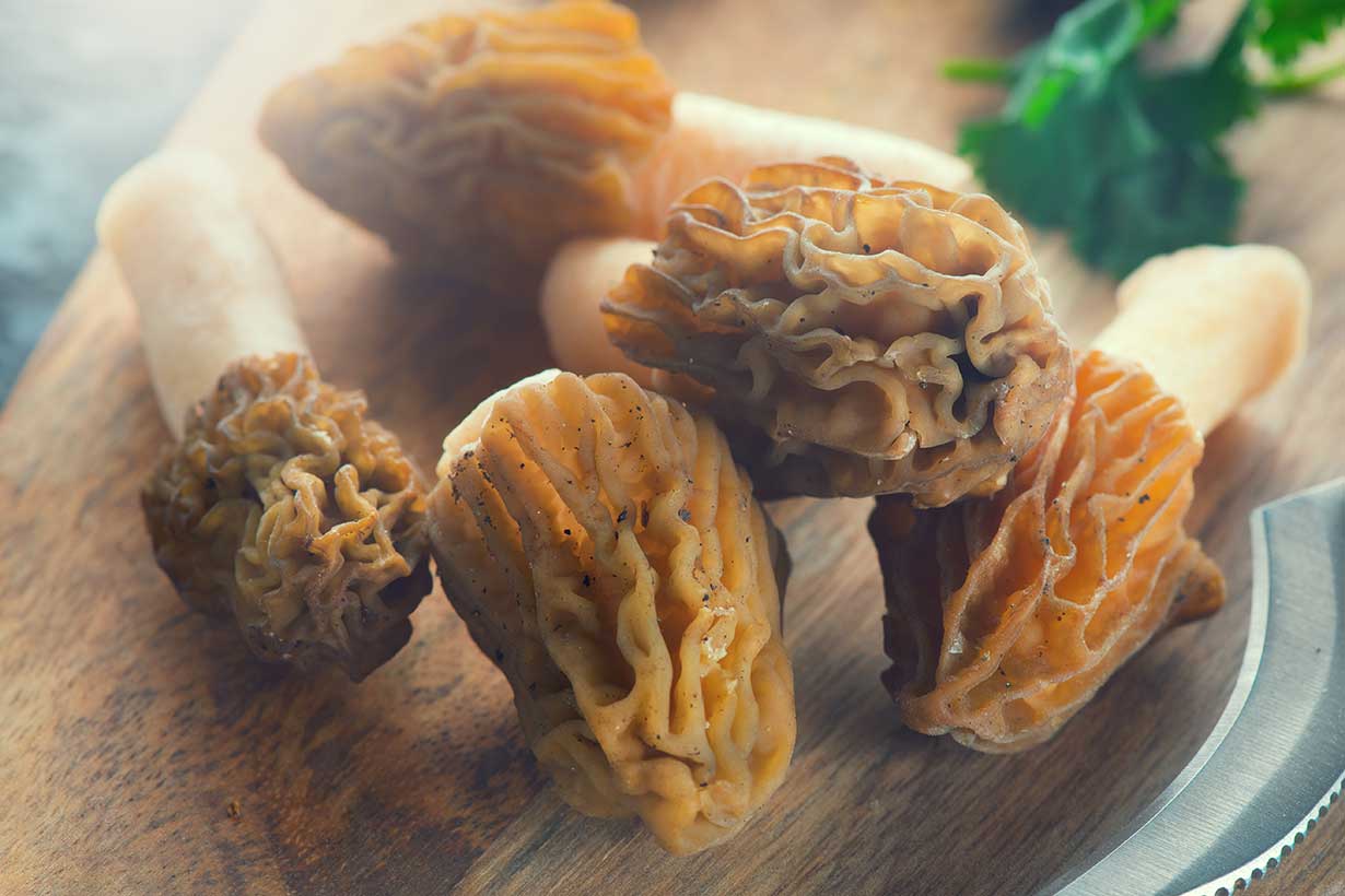 Morel Mushrooms On a Wooden Surface.