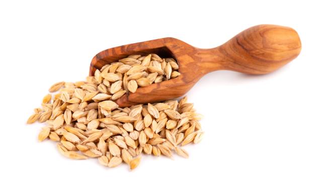 A Wooden Scoop and a Pile of Barley Grains.