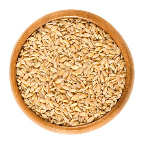 Einkorn Wheat In a Bowl.