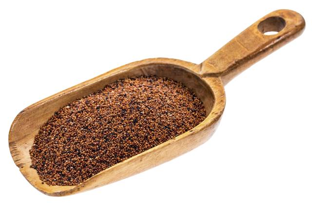 Kaniwa Grains On a Wooden Scoop.