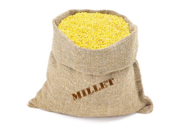 Sack of Millet Grains.