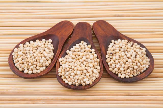 Sorghum Grains On Wooden Spoons.