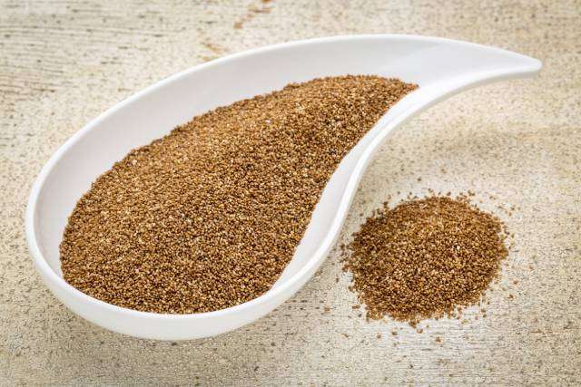 Teff Grains In a White Bowl.