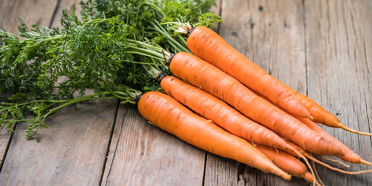 5 Benefits of Carrots (and Full Nutrition Facts)