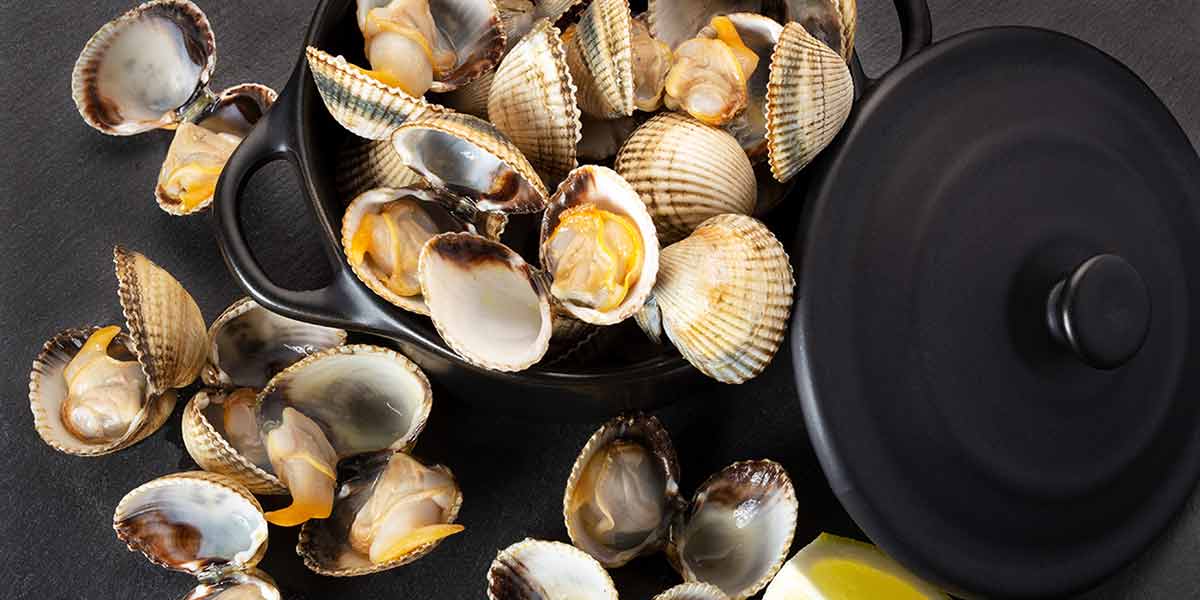 What Are Cockles? Nutrition Facts, Benefits, and Uses Nutrition Advance