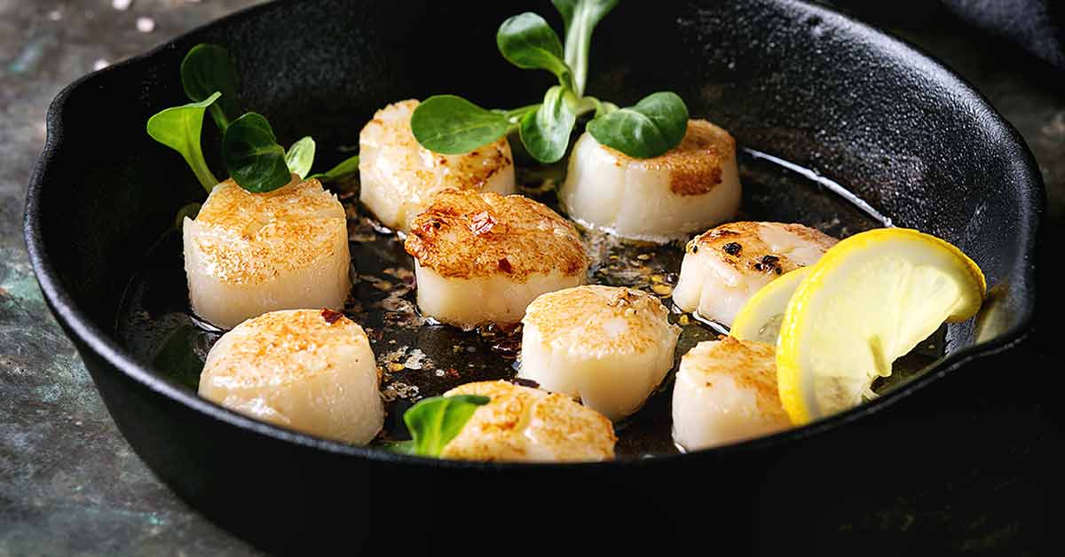 Scallops 101 Nutrition Facts & Potential Benefits Nutrition Advance