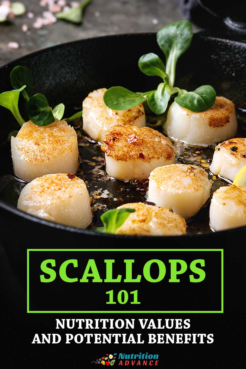 Scallops 101 Nutrition Facts Potential Benefits Nutrition Advance