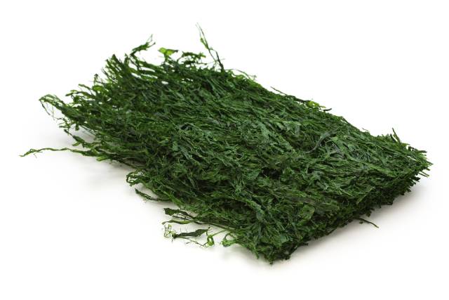 Dried Aonori Seaweed (Monostroma hariotti).