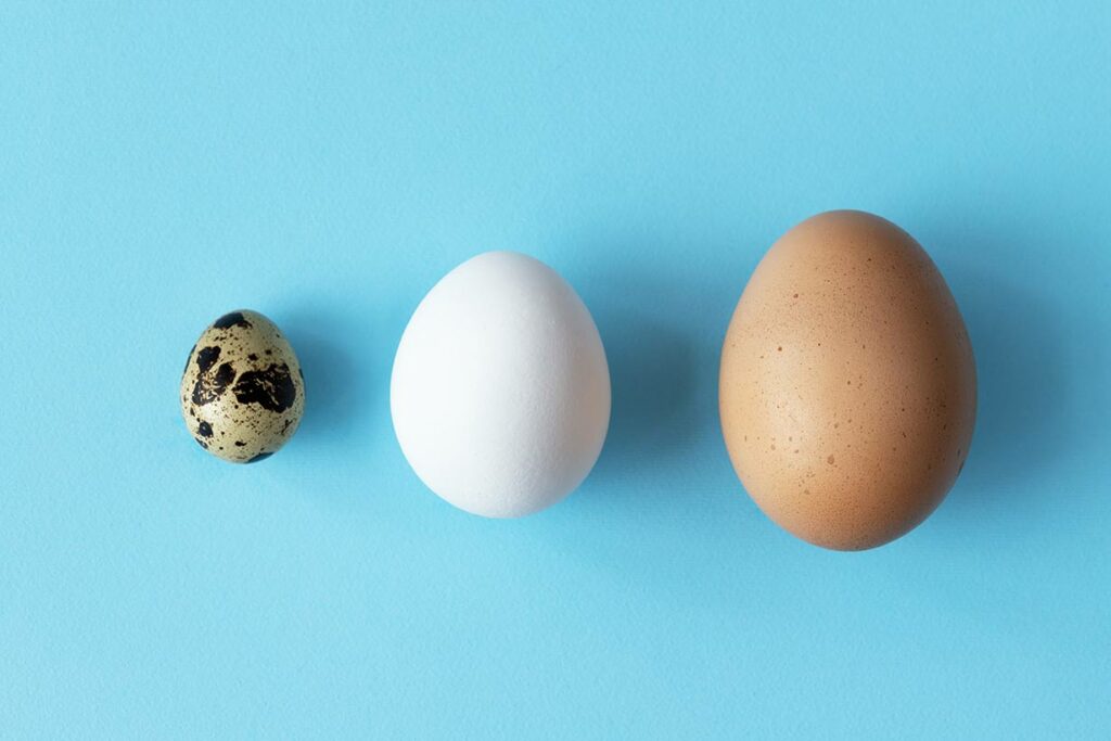 Three types of eggs on a blue background.