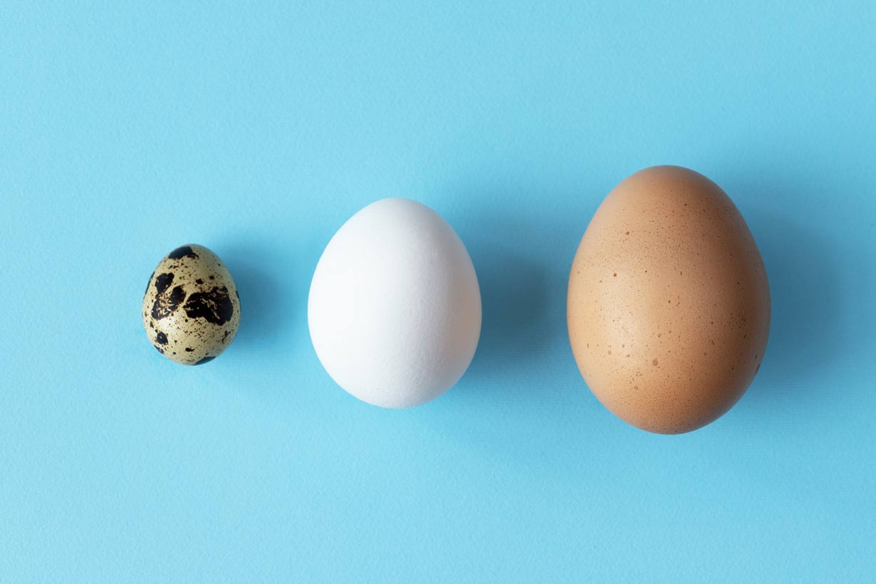 Three types of eggs on a blue background.