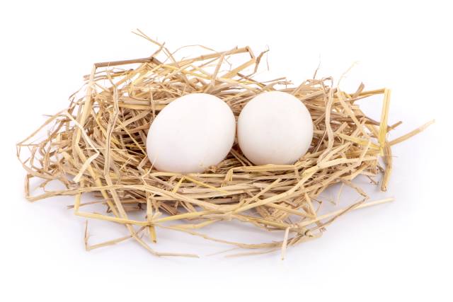 Two white duck eggs on a bed of straw.