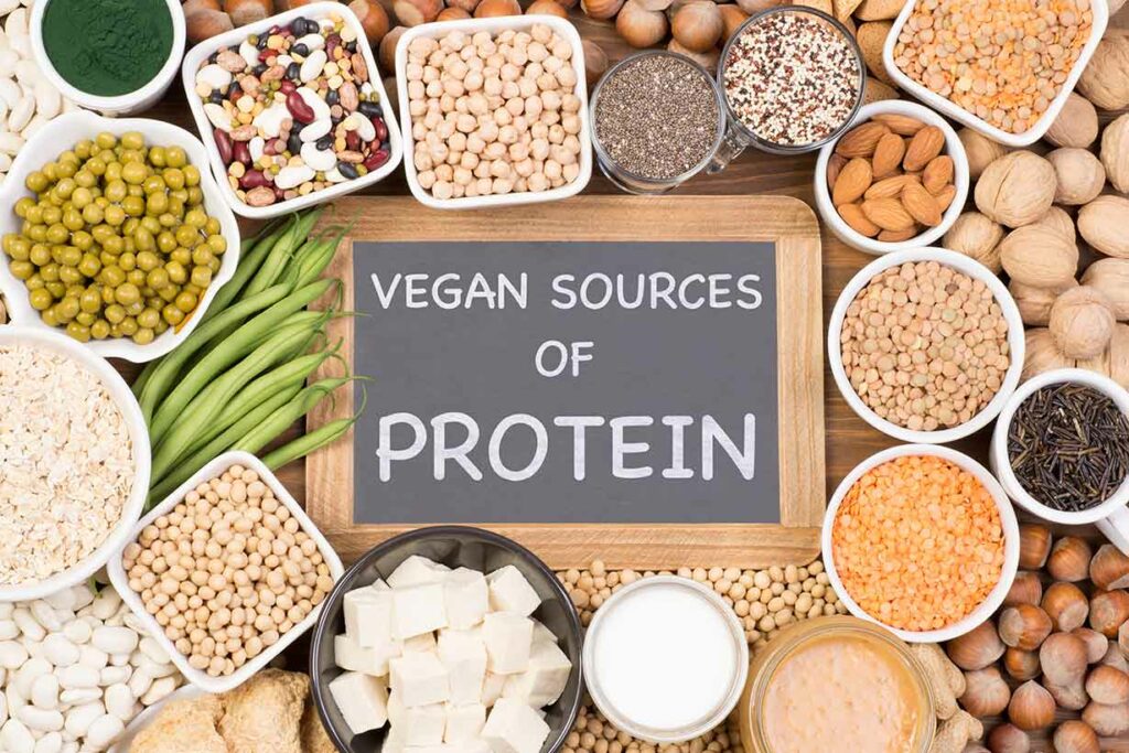 Various Plant-Based Protein Options.