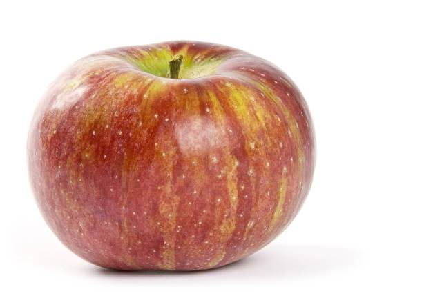 A Cortland Apple.