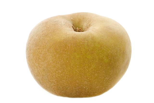 A Single Russet Apple.