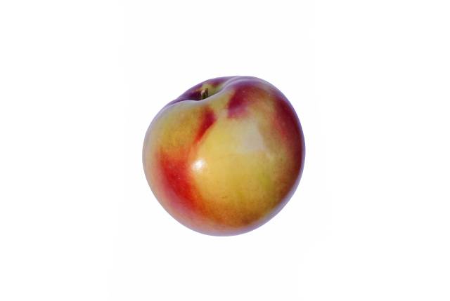 A McIntosh Apple.