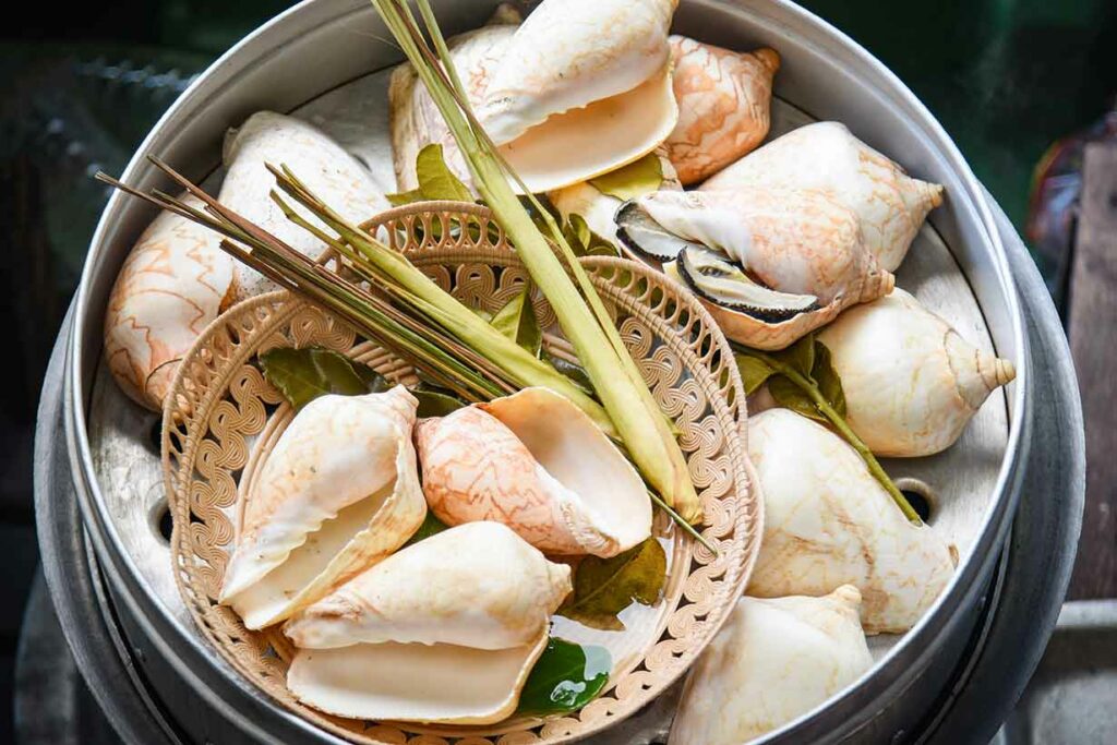 Conch Shells In a Pan.