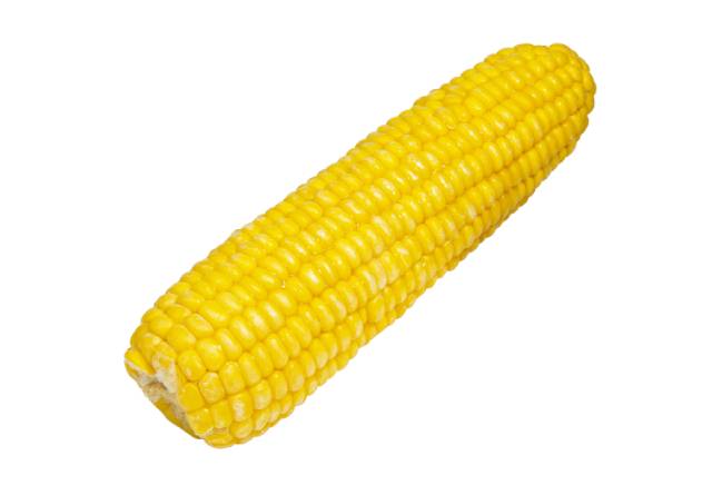 Sweet Corn - Corn on the Cob.