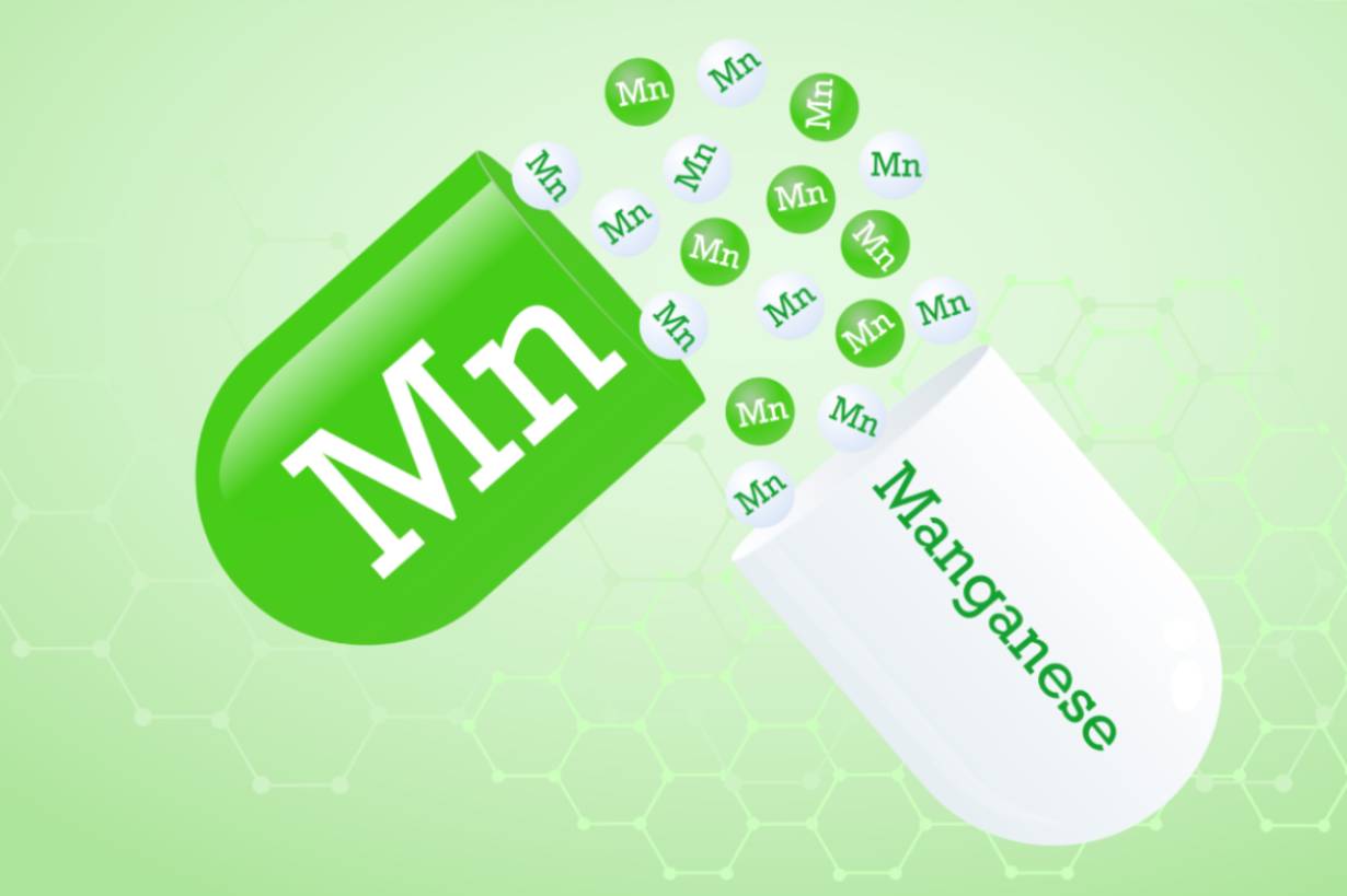 30 Foods High In Manganese Nutrition Advance