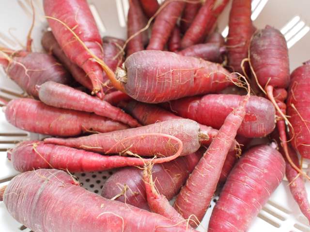 Atomic red carrots (red-pigmented carrots).