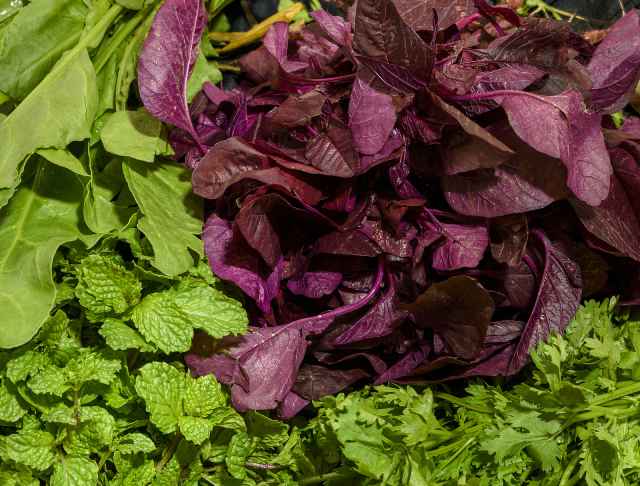 Red amaranth leaves.