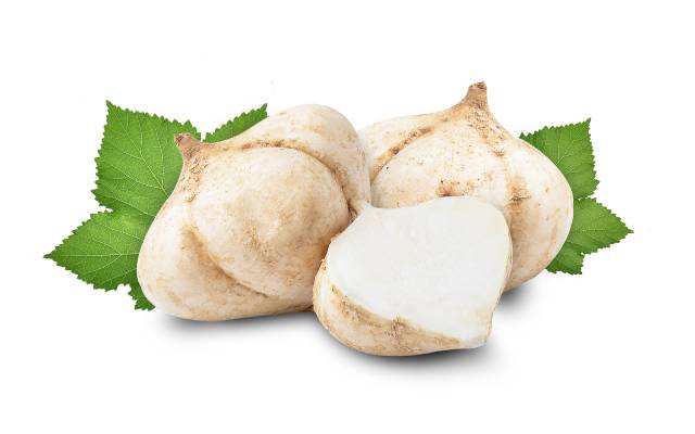 Whole Jicama Tubers On a White Background.