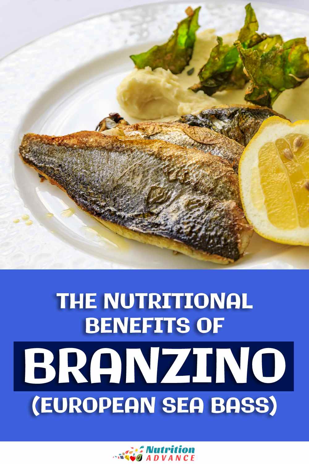 The Nutritional Benefits Of Branzino European Sea Bass Nutrition Advance The Nutritional Benefits Of Branzino European Sea Bass Nutrition Advance