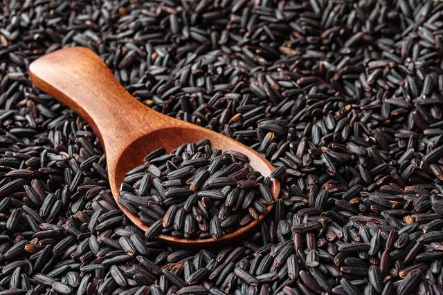 A wooden spoon of black rice on top of a pile of black rice.