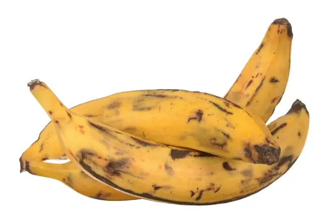 Three large yellow plantains.