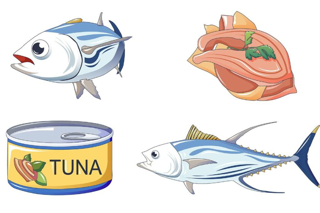 Different types of tuna - whole fish, canned tuna, cooked tuna flesh.