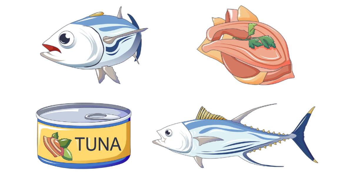 7 Types of Tuna Nutrition, Benefits & Mercury Levels Nutrition Advance