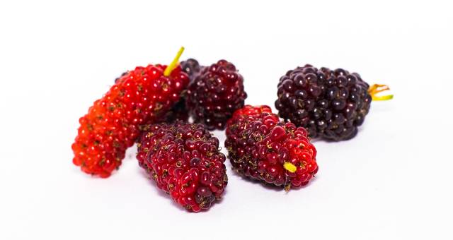 A pile of red mulberries.