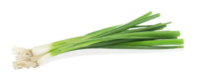 A bunch of fresh scallions.