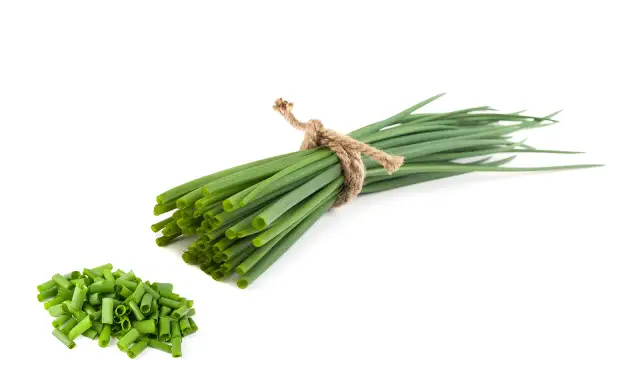 Chopped chives.