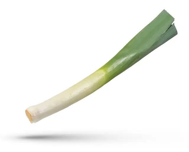 A Large Whole Leek.