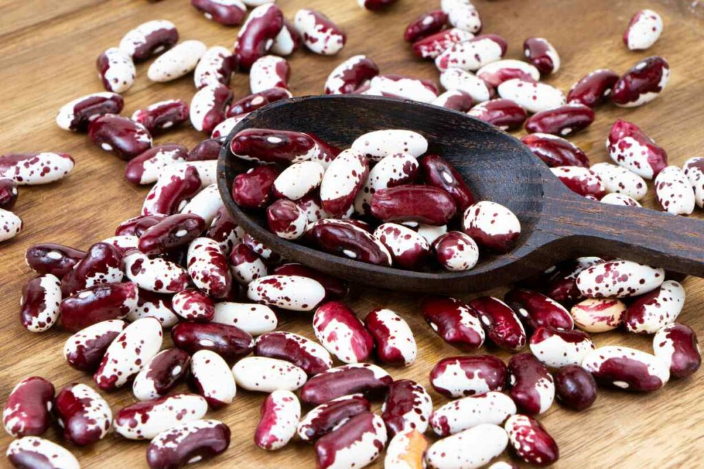 A pile of Anasazi beans on a wooden surface.