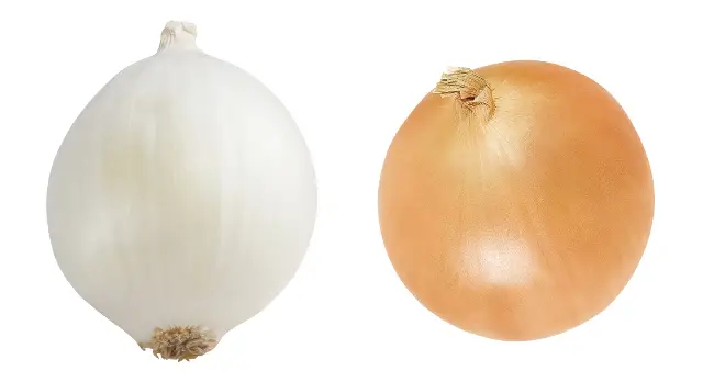 Two onions next to each other.