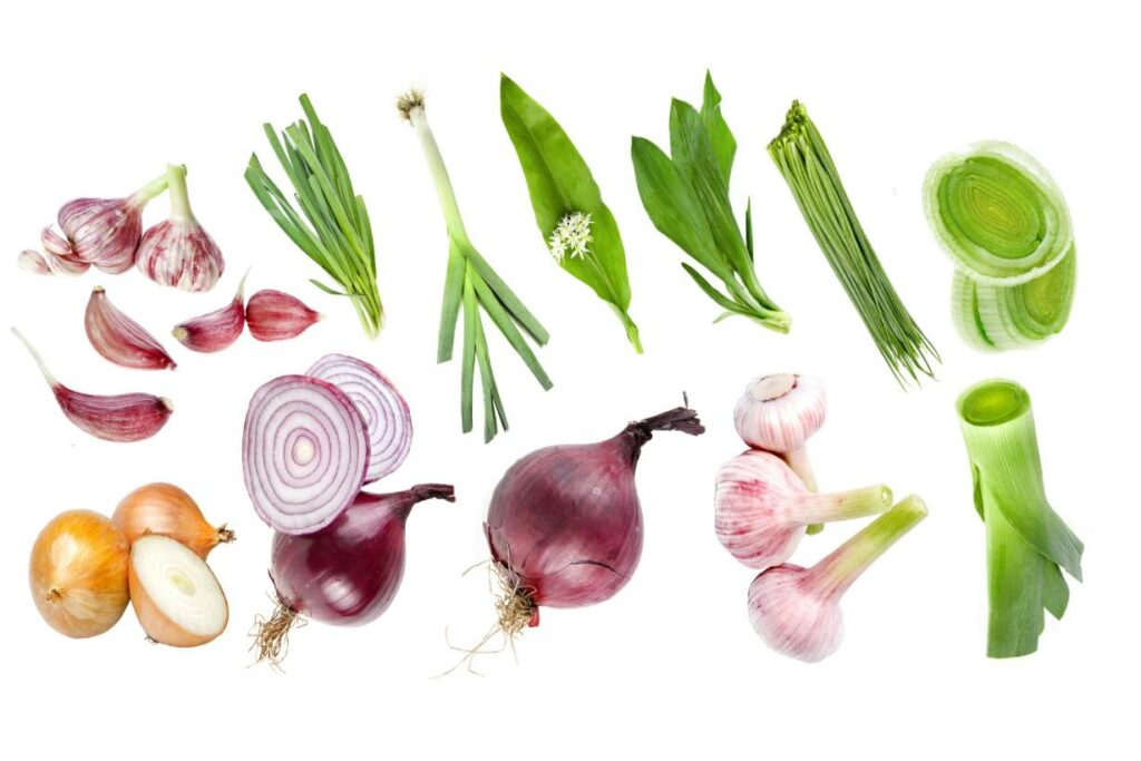 Various allium vegetables - including onions, leeks, chives, shallots, and scallions.