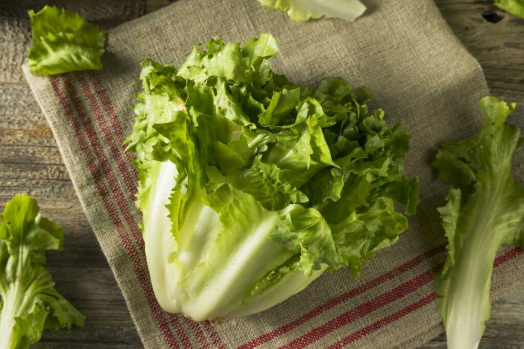 Fresh escarole on a cloth on a wooden table.