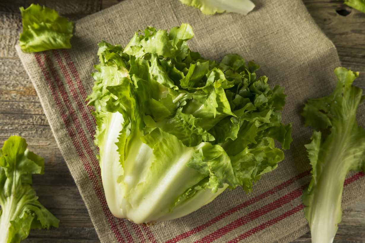 5 Benefits of Escarole (With Full Nutrition Facts) Nutrition Advance